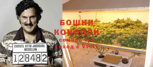 apvp Алзамай